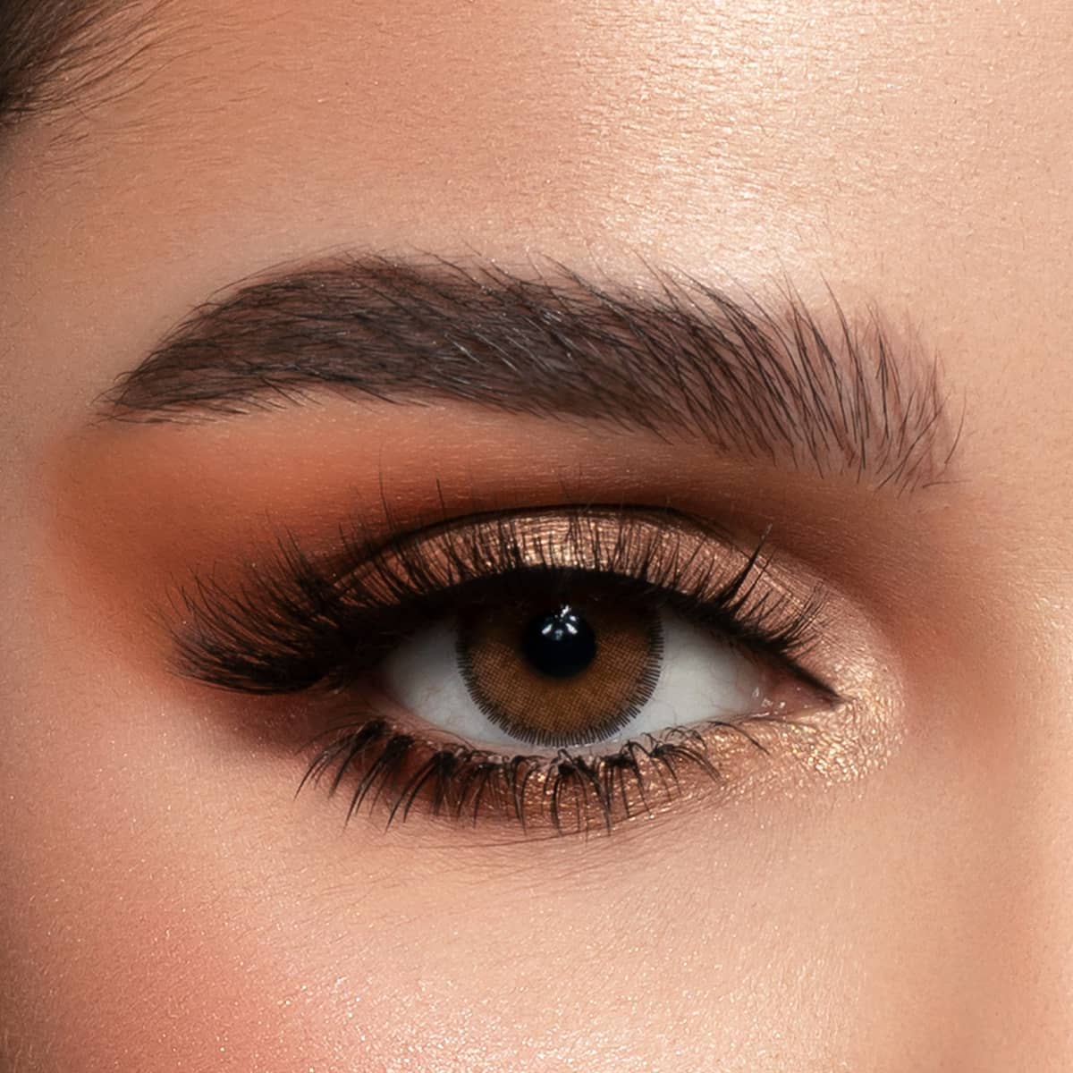 Luminous Latin Brown