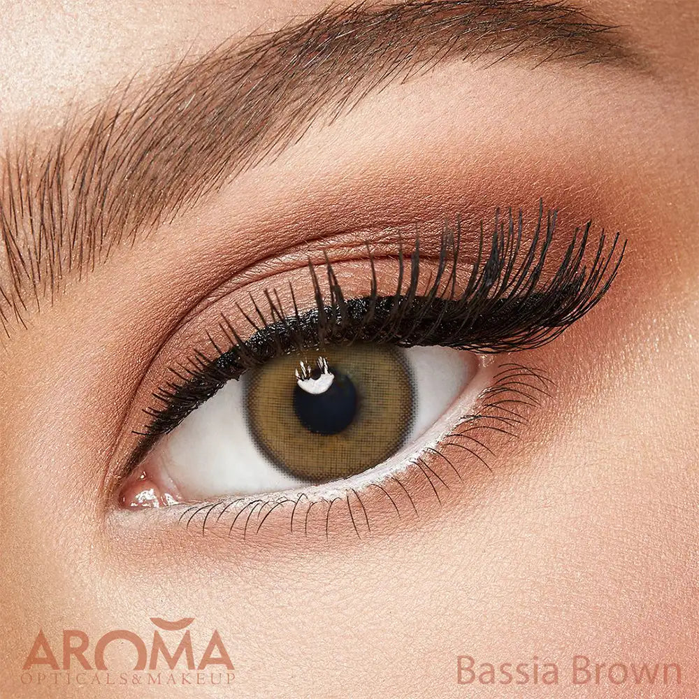 Fresh Lady Bassia Brown