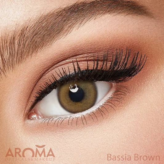 Fresh Lady Bassia Brown